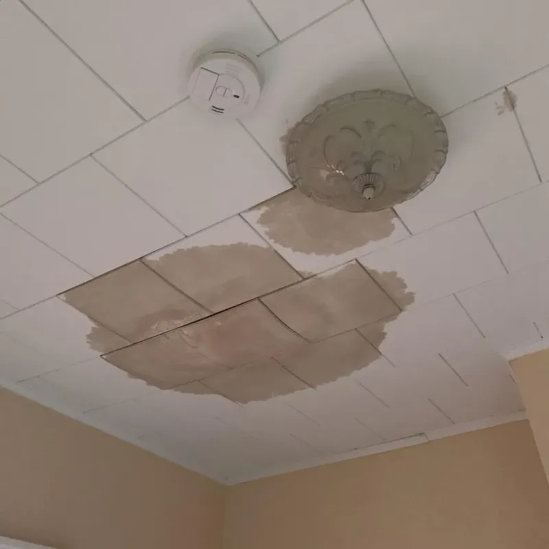 Ceiling Water Damage Repair in Garyville, LA