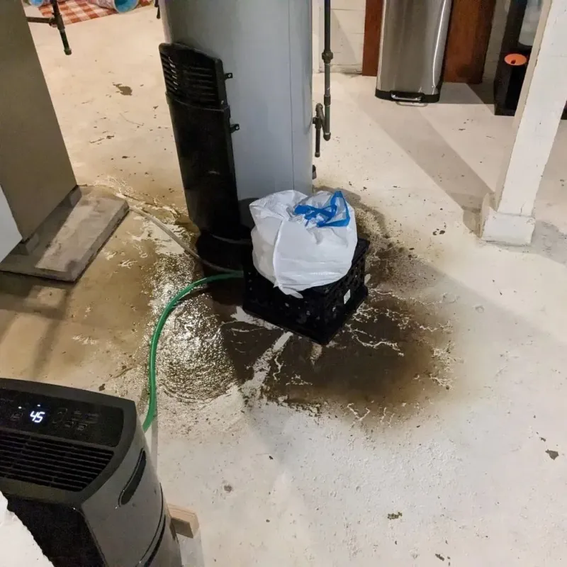 Sewage Backup Cleanup Service in Garyville, LA
